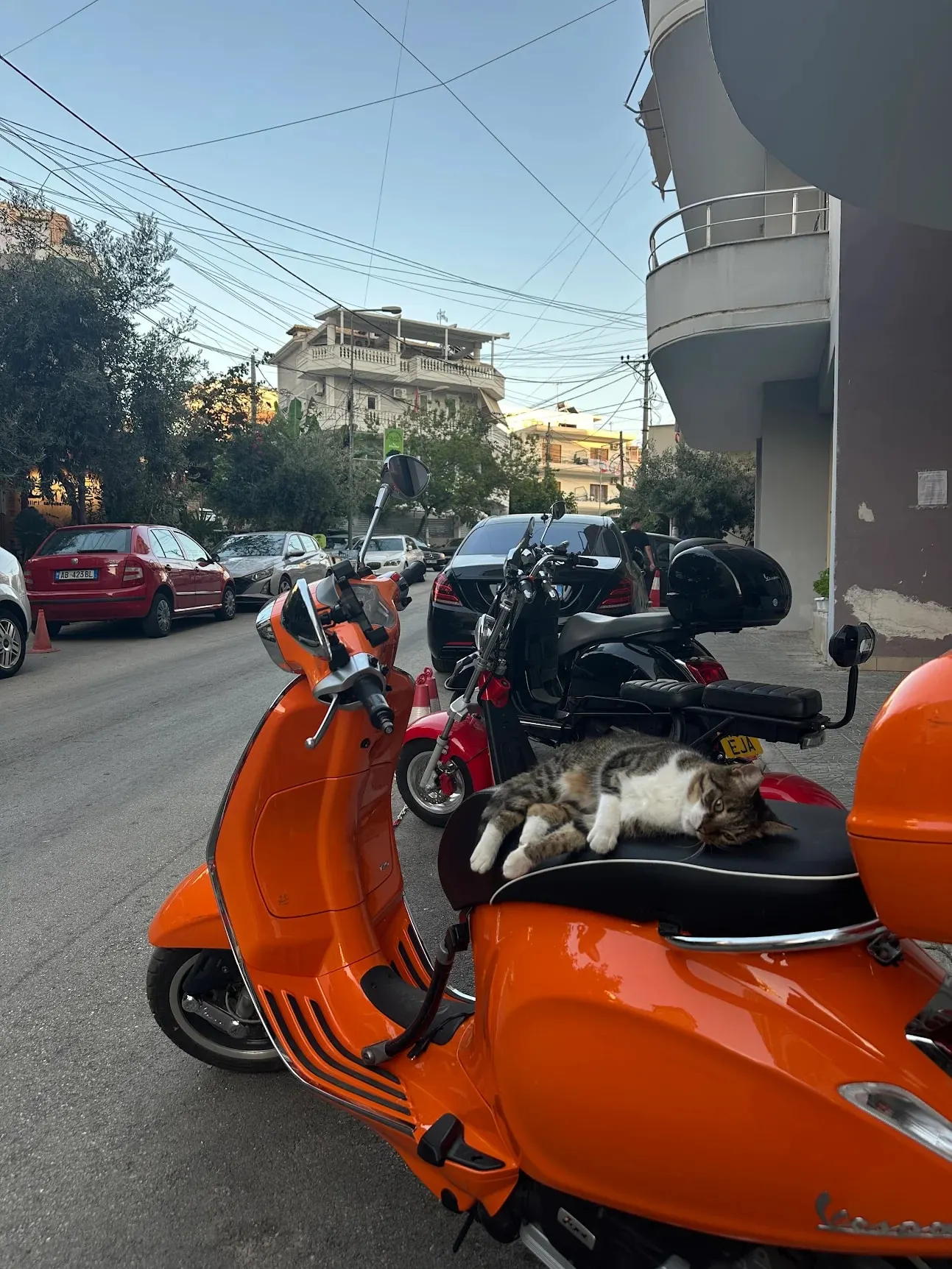 A cat asleep on the seat of an orange Vespa